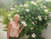 Фотография Сорокиной Лилии