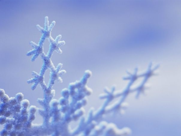 Snow'a Maks фото №10