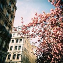 Фотография Синельниковой Марины