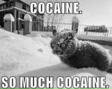 Фотография Кошкаревой Анастасии