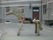 Фотография  