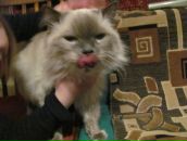 Фотография Игнатьичева Лёшки