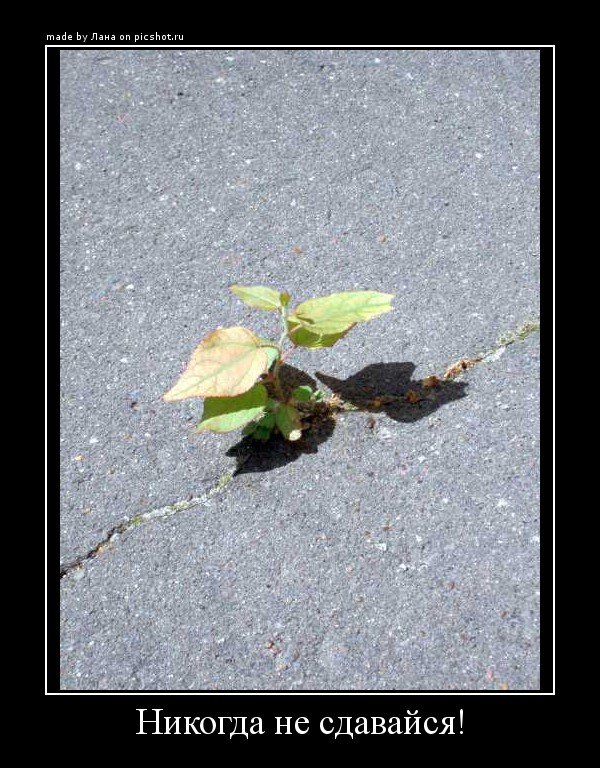 Иван Бульдин фотография #41