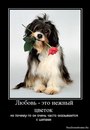 Марія Вітенко фотография #4 (источник - https://vk.com/id168232261)