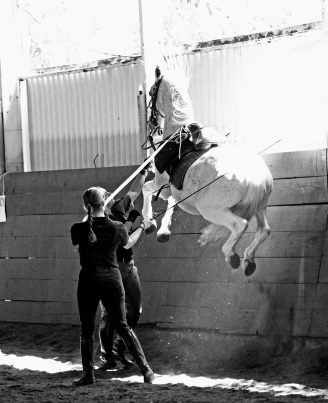 Наталья Макеева фотография #36