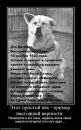 Юліана Морозюк фотография #8 (источник - https://vk.com/id157508144)