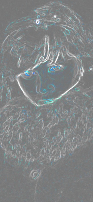 Алена Тетера фотография #25