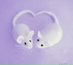 Фотография Багажкова Михаила