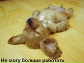 Фотография Каретиной Марии