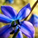 Іра Мартинюк фотография #49 (источник - https://vk.com/id160674965)