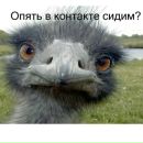 Евгеній Сидорець фотография #50 (источник - https://vk.com/id164315019)
