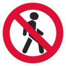 Фотография Шона Сэра