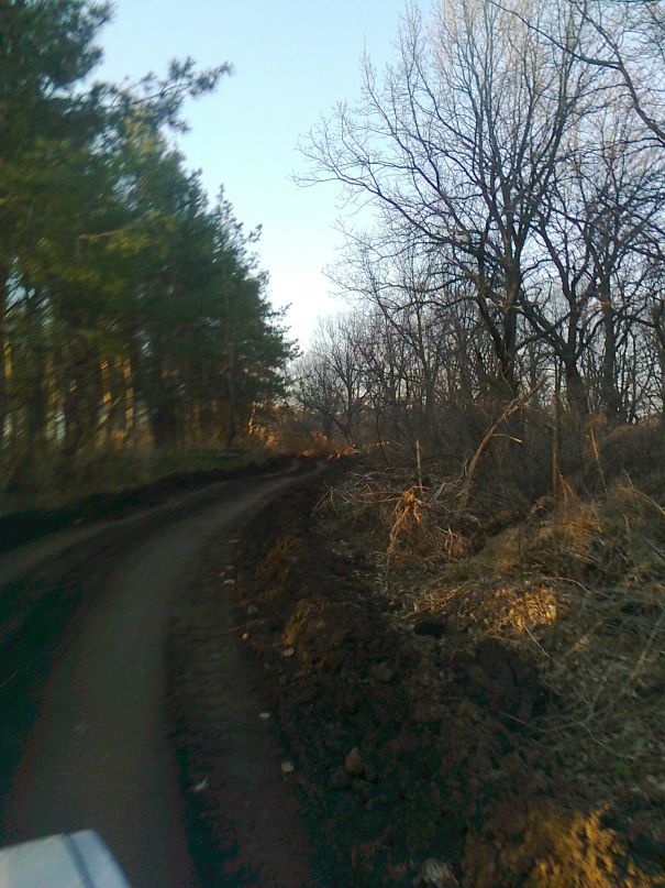 Дмитрий Лысов фотография #27