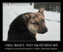 Чорна Депресія фотография #35 (источник - https://vk.com/id22016876)