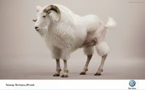 Alex Perec фотография #9 (источник - https://vk.com/id539403)