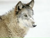 Фотография Мударисова Артура