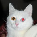 Фотография Борзенко Даниила