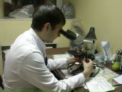 Фотография Агеева Владимира