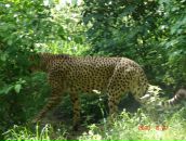 Фотография Мишуткиной Жанны