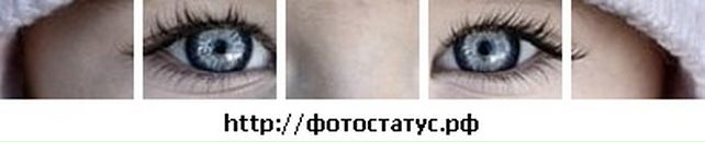 Марія Новосад фотография #20 (источник - https://vk.com/id67776672)