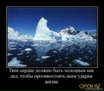 Фотография Анисимова Алексея