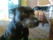 Ліза Науменко фотография #33 (источник - https://vk.com/id86453377)