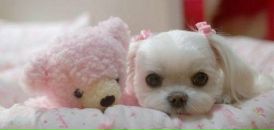 Юлія Ромасевич фотография #50 (источник - https://vk.com/id170613584)