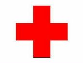 Фотография Павлинова Дмитрия