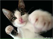 Фотография Литвиновой Татьяны