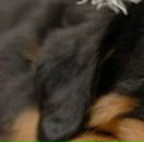 Олеся Матвійчук фотография #23 (источник - https://vk.com/id50923906)