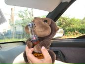 Фотография Хабарова Дмитрия