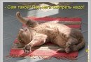 Андрий Хольвінський фотография #27 (источник - https://vk.com/id161964560)