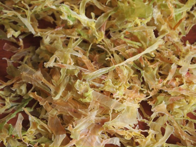 Игорь Кулешов фотография #45