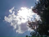 Фотография Пакалевой Натальи