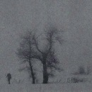 Фотография Ступникова Лариса