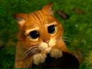 Фотография Света Юркевич
