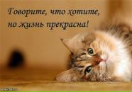 Юлія Микула фотография #20 (источник - https://vk.com/id93683407)