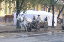 Яків Гіндін фотография #44 (источник - https://vk.com/id14289269)