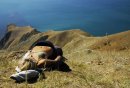 Фотография Дробышевой Татьяны