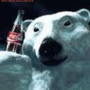 Фотография Zheglov Dmitry