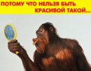 Іван Ковальов фотография #29 (источник - https://vk.com/id56368810)