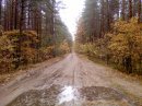 Дмитрий Петрук фотография #17 (источник - https://vk.com/id18824926)
