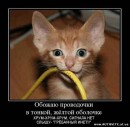 Міша Гузовський фотография #11 (источник - https://vk.com/id21884739)