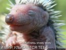 Лідія Капітанова фотография #27 (источник - https://vk.com/id24221647)