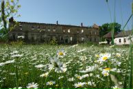 Андрій Білик фотография #12 (источник - https://vk.com/id64378444)