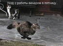 Сергій Кришталюк фотография #14 (источник - https://vk.com/id93474118)