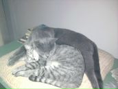 Ольга Воєдчук фотография #42 (источник - https://vk.com/id13352152)