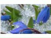 Іра Олійник-Космачевська фотография #34 (источник - https://vk.com/id110420293)