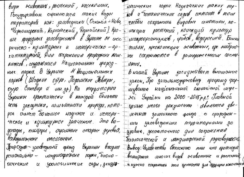 Дмитрий Степенко фотография #20