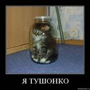 Фотография Васильева Антона